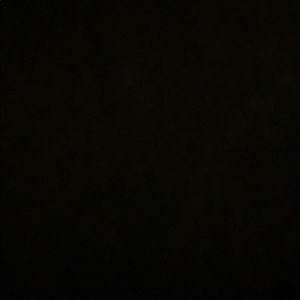 Meet your Posher, Lia